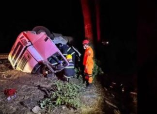 Motorista morre preso às ferragens após caminhão tombar na BR-153