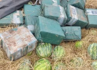 Grupo flagrado com cocaína escondida em carga de melancia pode estar ligado a outras apreensões de drogas, diz inquérito