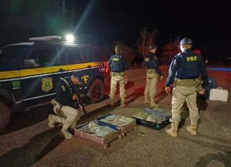 PRF apreende 26 kg de maconha em malas de passageira durante abordagem em ônibus