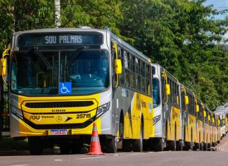 Tranporte público recebe reforço durante o Festival Gastronômico de Taquaruçu; veja horários