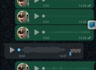 Calopsita envia áudios e foto pelo WhatsApp de tutora sem que ela perceba e vídeo viraliza