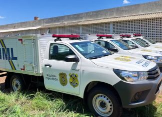 Menina de 4 anos morre após carro capotar e bater em cerca