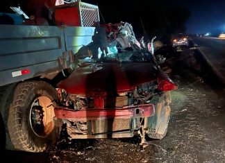 Agente da Guarda Metropolitana de Palmas morre em acidente na BR-010
