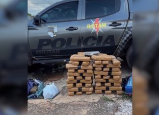 Denúncia anônima leva PM a apreender 81 kg de maconha em setor de Palmas