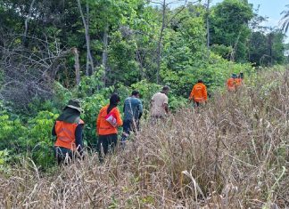 Bombeiros procuram idoso de 75 anos desaparecido há sete dias em área de mata de Aguiarnópolis