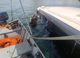 Motorista preso após ônibus de turismo cair no rio Tocantins é solto pela Justiça