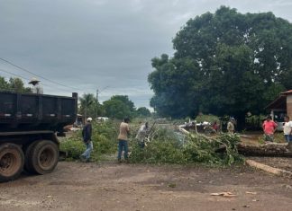 Temporal provoca queda de árvores, muros e telhados na região norte do Tocantins