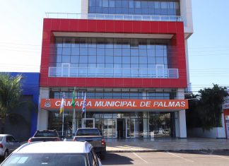 De Legendários a pão de abóbora: leis aprovadas em Palmas levantam debate sobre relevância e interesse público