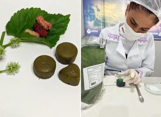 Estudante do IFTO desenvolve goma de mascar experimental à base de amora para aliviar os efeitos na menopausa