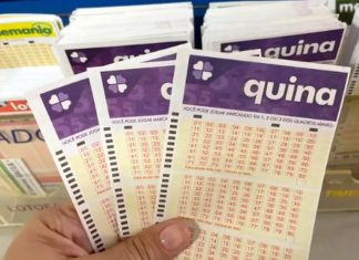 Quina: bolão registrado em Palmas leva mais de R$ 2,5 milhões