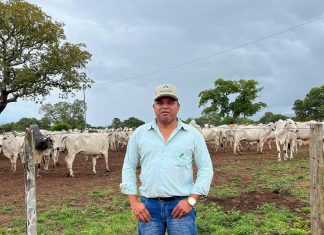 ‘Coração enorme e alegre’: quem era o ex-vice-prefeito de Monte do Carmo que morreu em queda de avião