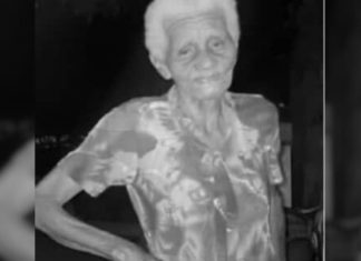 Filho é preso suspeito de matar mãe de 84 anos a pauladas no quintal de casa