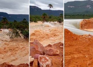 ‘Fiquei desesperado’: morador narra fuga após rompimento de barragem no Tocantins