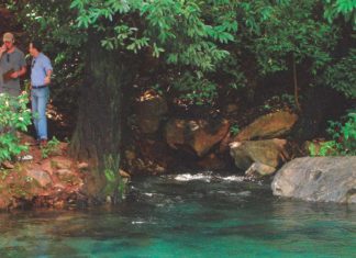 Prefeitura e Estado são condenados a recuperar área degradada no menor rio do Brasil