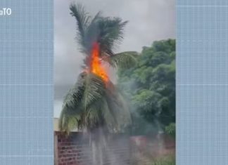 Homem tem casa atingida por raio na véspera de Natal e relembra morte do pai por descarga elétrica