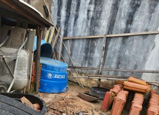 Corpo de mulher é encontrado em cova rasa após denúncia de cheiro forte em casa