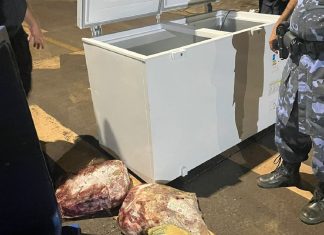 Suspeitos de furtar freezer e merenda de escola em Palmas são presos