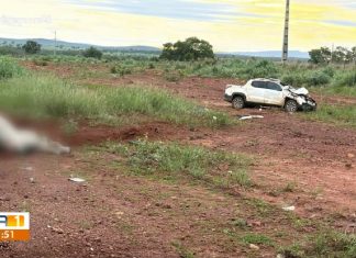 Carro bate contra boi que atravessava pista e mata dois homens na BR-242