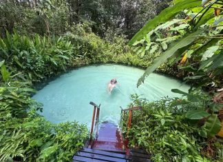 Dunas, cachoeiras e fervedouros: Conheça os atrativos do Parque Estadual do Jalapão