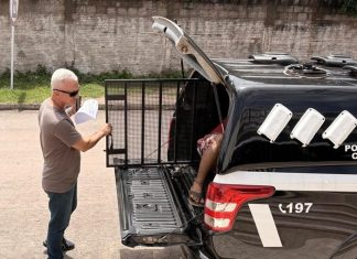 Homem é preso por manter adolescente em cárcere dentro de caminhão por sete dias no Tocantins, diz polícia