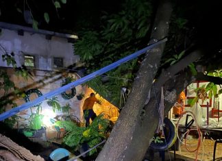 Temporal derruba árvores, destrói telhados e causa estragos em Palmas
