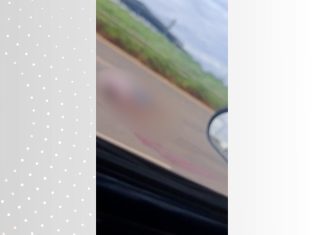 Pedestre morre no hospital após ser atropelado por carro na BR-010