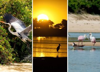 Lagoas, trilhas e encontro de biomas: conheça parque estadual que pode ser destino do ecoturismo no Tocantins