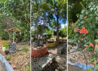 Iniciativa sustentável: praças e enfeites feitos com recicláveis atraem olhares em cidade no Tocantins