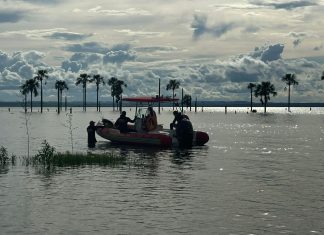Homem morre afogado enquanto nadava em praia de Palmas, dizem testemunhas