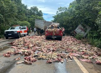 Acidente entre caminhões e carros deixa vários feridos e espalha carregamento de carne na BR-010 no Tocantins
