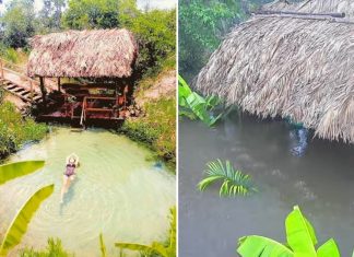 Fervedouro no Jalapão fica alagado e é coberto por vegetação após temporais no Tocantins