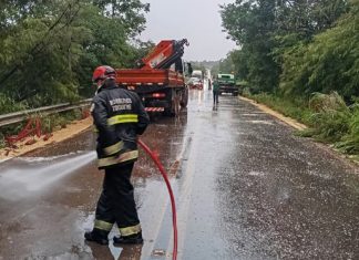 Acidente entre duas carretas deixa motorista morto no Tocantins