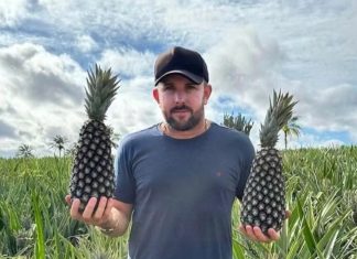 Quem é o produtor de abacaxi que teve a morte encomendada por fazendeiro rival no TO, segundo a PC