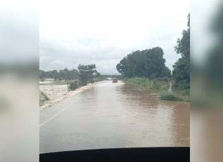 Motoristas se arriscam após córrego transbordar e passar por cima de rodovia no Tocantins; Vídeo