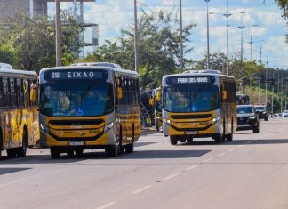 Após contrato emergencial de R$ 196 milhões, empresa vence licitação de R$ 4 bilhões do transporte público de Palmas