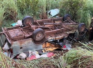 Duas pessoas morrem após furgão carregado de sementes capotar em rodovia do Tocantins