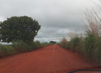 Com drones e cães farejadores, buscas por mecânico desaparecido em fazenda chegam ao sétimo dia