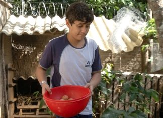 Disciplina e empreendedorismo: quem é o menino de 11 anos que aposta na produção de ovos
