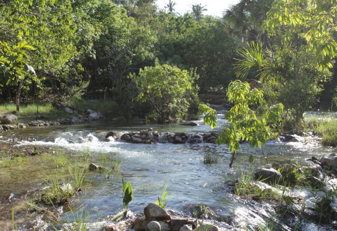 modelo-foto-fundo-borrado-2-