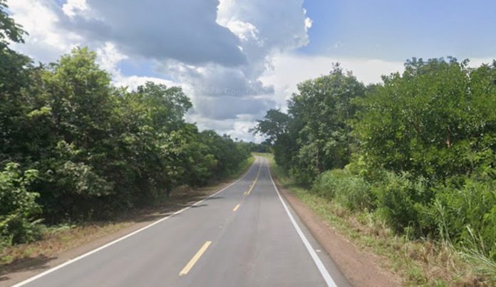 to336-guarai