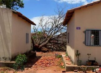 Prefeitura compra cestas básicas sem licitação para atender famílias atingidas por temporal em janeiro