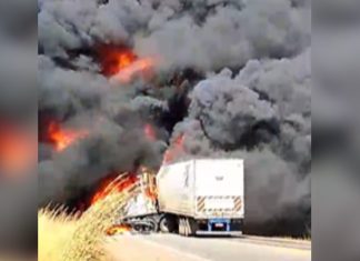 Caminhões pegam fogo após acidente na BR-153 no Tocantins, e rodovia é interditada