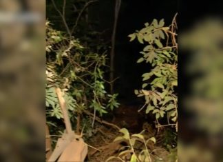 Trabalhador que morreu em acidente na curva de serra em Taquaruçu é identificado