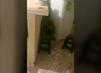 VÍDEO: Moradora relata pânico após homem invadir casa pelo forro para fugir de suposta ameaça