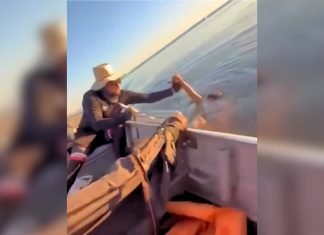 Após mudarem rota devido ao vento, pescadores salvam homem no Lago de Palmas; VÍDEO