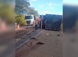 Motorista de 74 anos morre em acidente entre caminhonete e caminhão na BR-153