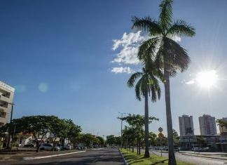 Palmas terá semana com temperaturas de até 37°C; veja a previsão