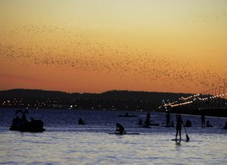 Temperatura pode chegar a 37°C em Palmas ao longo da semana