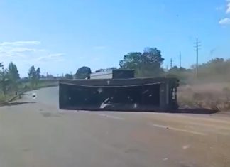 Carreta carregada de milho tomba após motorista tentar ultrapassagem na BR-010; VÍDEO