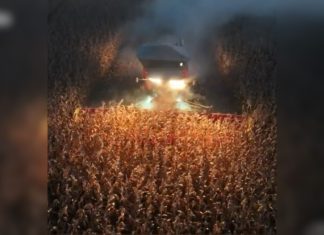 Produtores do Tocantins fazem colheita à noite para evitar risco de incêndios